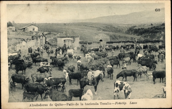 AK Ecuador, Quito area, Hacienda Tesalia