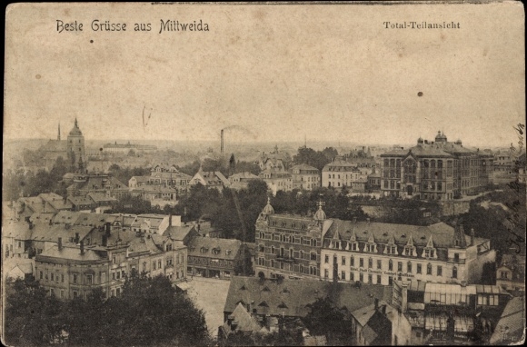 Ak Mittweida in Sachsen, Panorama vom Ort