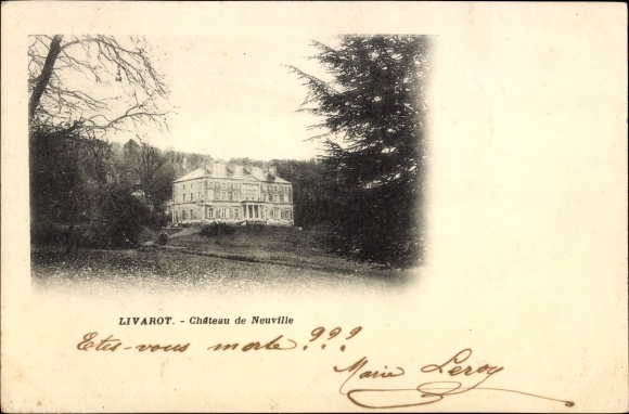 Ak Livarot Calvados, Château de Neuville
