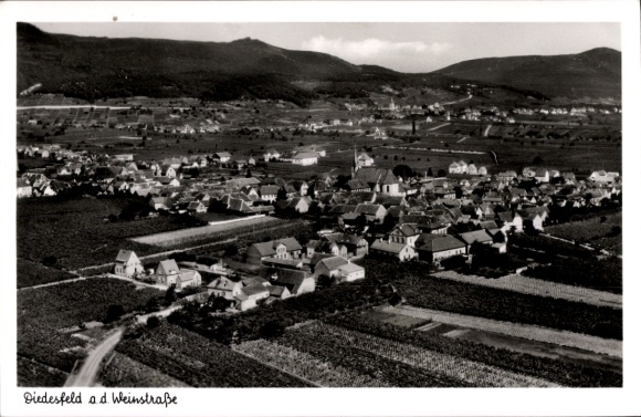 Ak Diedesfeld Neustadt an der Weinstraße, Luftaufnahme von  Weinberge, traditionelle Häuser