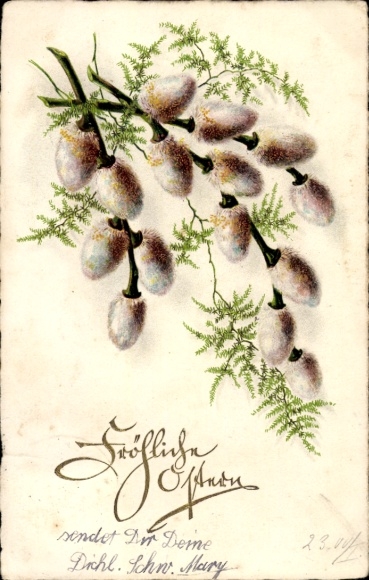 Ak Glückwunsch Ostern, Weidenkätzchen