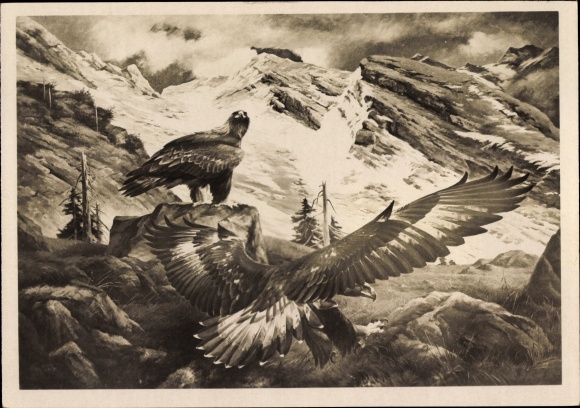 Artist PC Kiefer, Michael, golden eagle, mountains, HDK 524