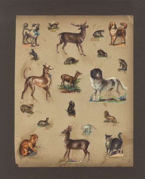 20 wafers dogs, cats, wild animals, approx. 8 x 7 cm to 2 x 3 cm