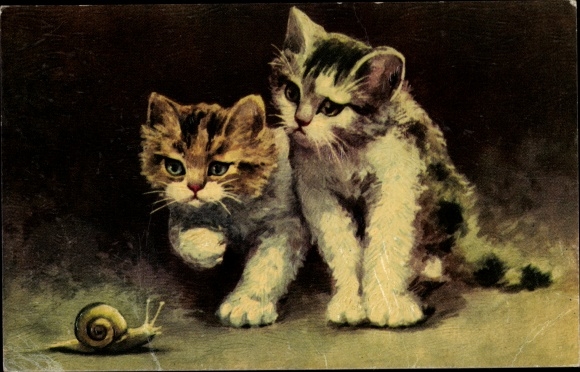 Postcard cats and a snail