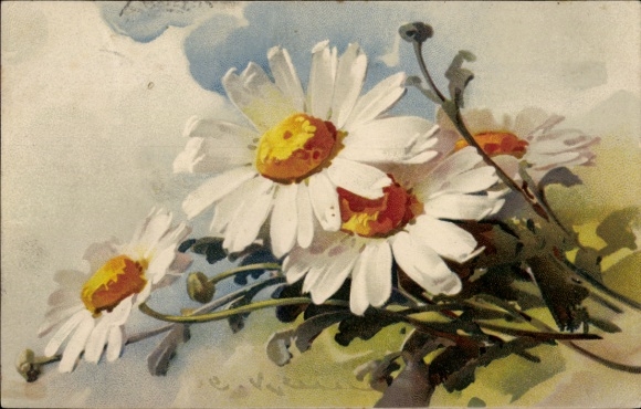 Artist Postcard Klein, Catharina, daisy bouquet, Meissner & Buch 2225