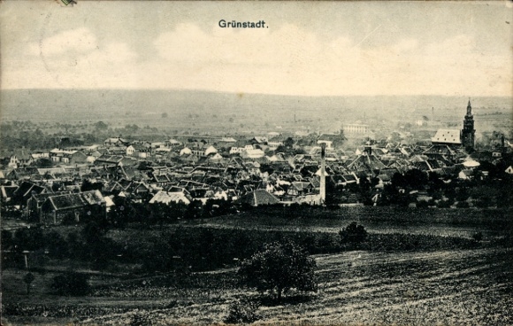 Ak Grünstadt in der Pfalz, Historische Stadtansicht, Kirche am Horizont, Landschaft im Vordergrun