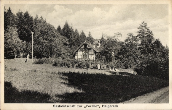 Ak Haigerach Gengenbach im Schwarzwald, Gastwirtschaft zur Forelle