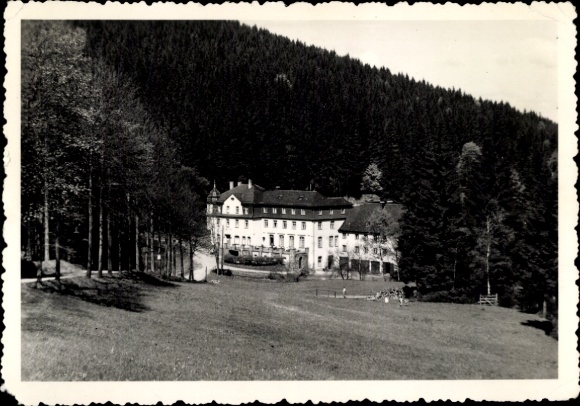 Postcard Markersbach in the Ore Mountains, buildings in nature, forest, meadow, historical architecture