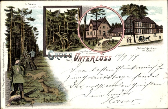 litho Unterlüß Unterlüss Südheide, Hubachs Gasthaus, Oberförsterei, jungle