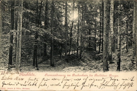 Ak Rochlitz an der Mulde Sachsen, Promenadenweg im Buchenhain, Rochlitzer Berg, Grüne Landschaft,
