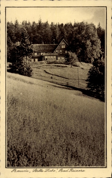 Postcard Duszniki Zdrój Bad Reinerz Silesia, Baude Silent Love