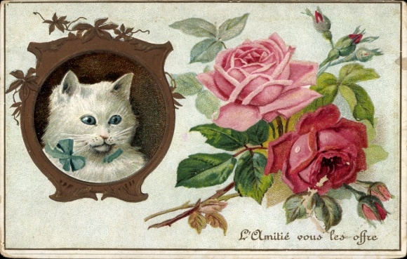 Embossed PC friendship, cat, roses