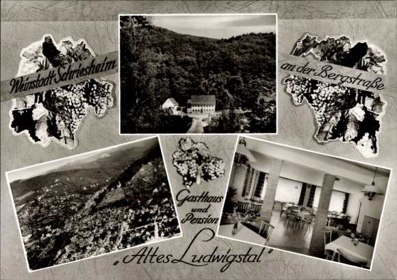 Ak Schriesheim an der Bergstraße, Gasthaus und Pension Altes Ludwigstal, Weinstadt  Bilder vom Ga