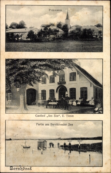 Ak Bornhöved in Schleswig Holstein, Gasthof am See von E. Timm, Partie am Bornhöveder See, Panorama