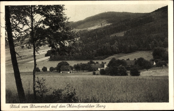 Postcard Wilthen in Oberlausitz, view from the Blumental to the Mönchswalder Berg