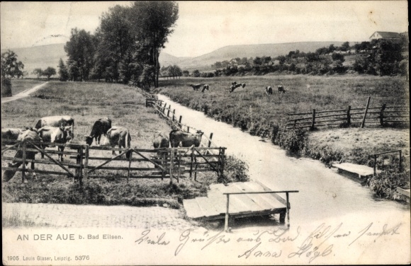Postcard Bad Eilsen Lower Saxony, At the Aue, cattle on the pasture