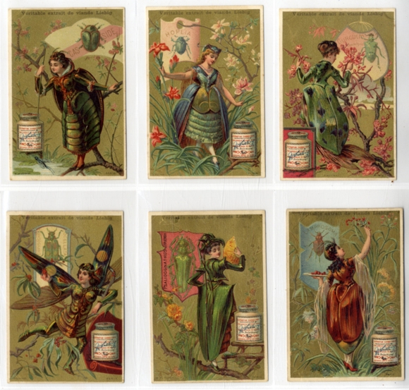 Liebig pictures series A 57 beetles (female figures) 1883