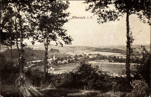 Ansichtkaart Altensalz Neuensalz im Vogtland, totaaloverzicht van de plaats