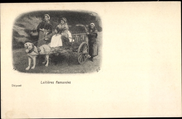 Postcard Flemish Milkmaids, Dog Carts