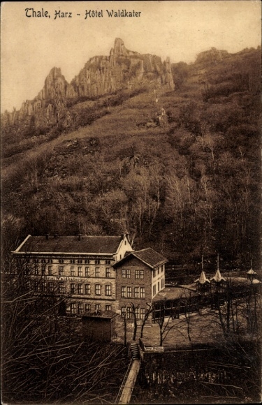 Ak Thale im Harz,  Harz, Hotel Waldkater, Berglandschaft,  