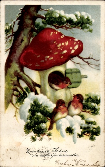 Ak Glückwunsch Neujahr, Pilz, Vogelhäuschen, Vögel