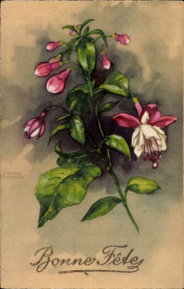 Kunstenaar Ak Petersen, H., Gefeliciteerd, Bloemen, Knoppen