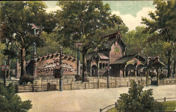 Ak Berlin Tiergarten, Zoologischer Garten, Büffelgehege