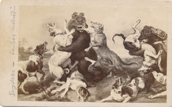 Artist Cabinet Photo Snyders, Frans, The Bear Fight