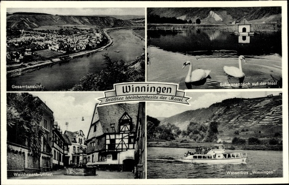 Postcard Winningen on the Moselle, general view, swans on the island, water bus, wine witch fountain