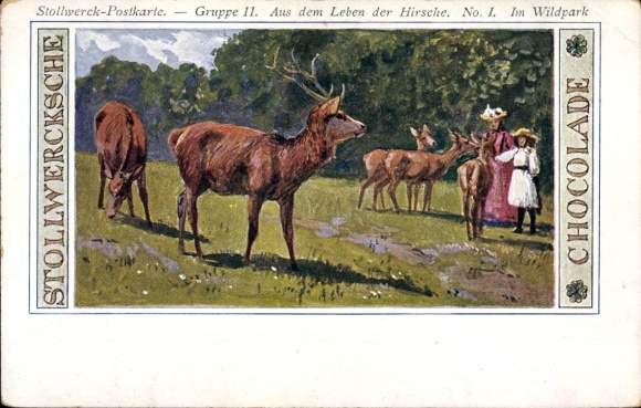 Artysta passe-partout KP Stollwerck Czekolada, Z życia jelenia, Grupa 11 nr I.