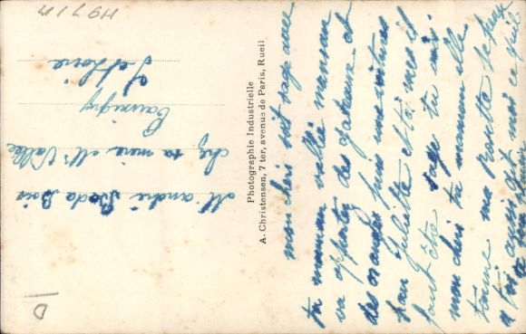 Postcard Carnation, Butterfly