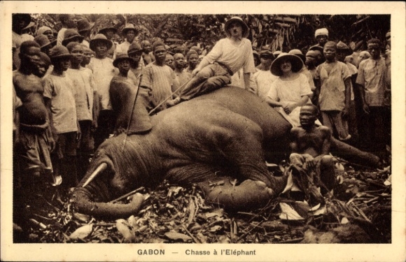 Ak Gabon, Jäger mit erlegtem Elefanten, Afrikaner