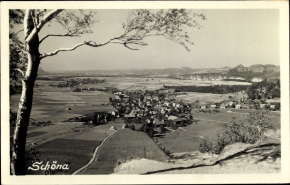 Postcard Schöna Saxon Switzerland, Panorama