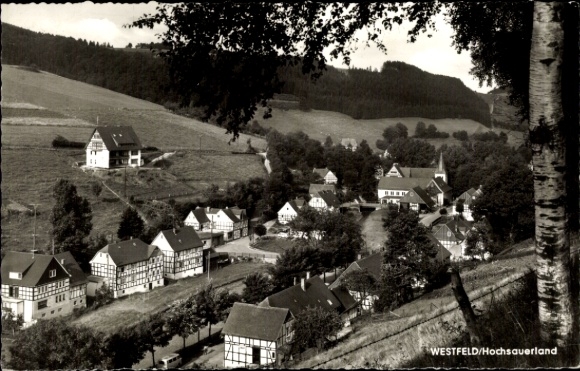 Ak Westfeld Schmallenberg Hochsauerland, Ortsansicht