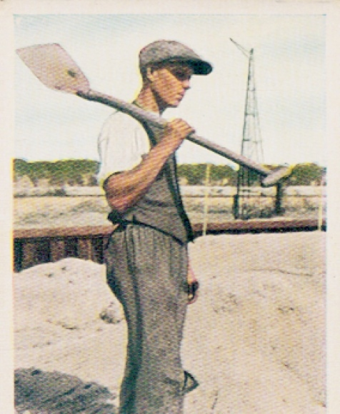 Collective picture The state of work and peace, finally work again, worker with shovel