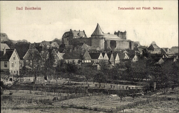 Ak Bad Bentheim in Niedersachsen, Totalansicht mit Fürstl. Schloss,  Gebäude, Stadtansicht