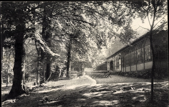 Ak Einbeck in Niedersachsen, Waldgaststätte an den Teichen