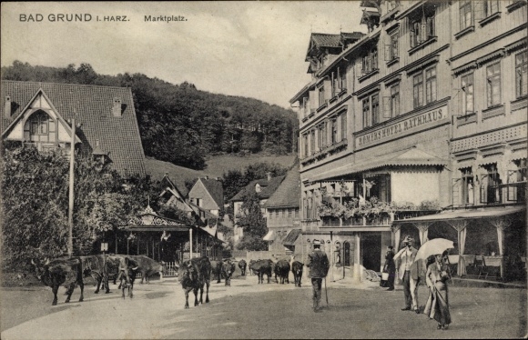 Ak Bad Grund Harz, Hotel Rathaus, Römer, Rinder am Markt