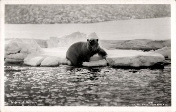 Postcard Svalbard Spitsbergen Norway, polar bear on an ice floe