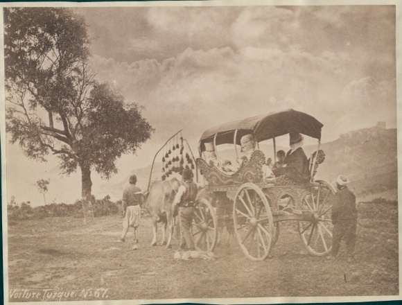 Photo Ottoman Empire, around 1880, carriage, cattle wagon, photographer G. Berggren