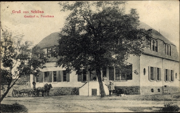 Ak Schöna Cavertitz Saksen, herberg, boswachtershuis