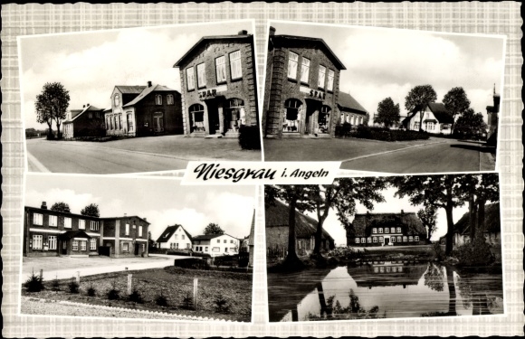 Ak Niesgrau in Angeln, Ortsansichten, Straße, Siedlung, Villa