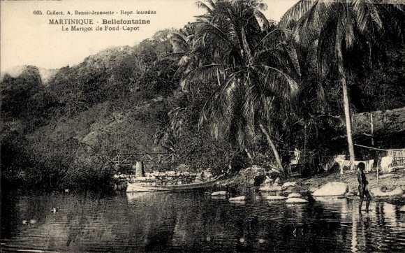 Ak Martinique, Mont Pelé, Schiff im Wasser, Palmen, Berglandschaft, Text auf Französisch