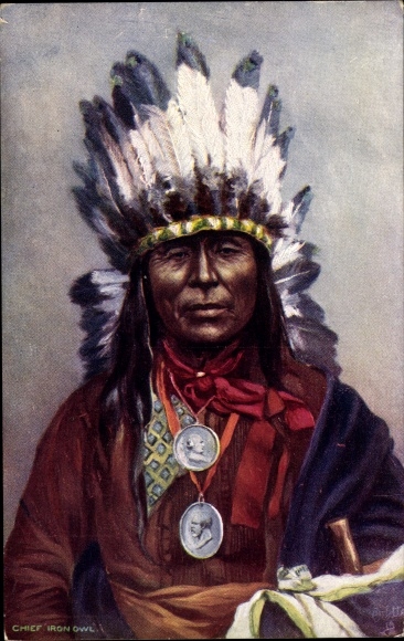 Ak Nordamerikanische Volkstypen, Mann mit Federschmuck, Portrait, Tuck 3495