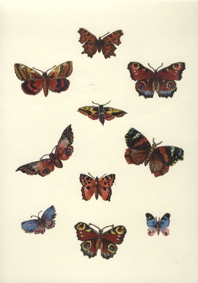 10 Oblaten schöne Schmetterlinge, ca. 4 x 7 cm, 2,5 x 7,5 cm bis 2,5 x 3 cm