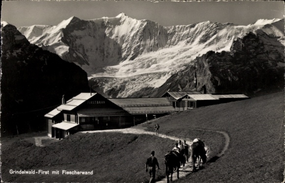 KP Grindelwald Kanton Berno, Schreckhörner i Fischerwand, Bergrestaurant First