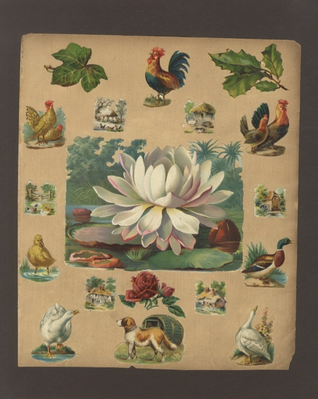 18 wafers water lily, chickens, ducks, dog, farmhouses etc., approx. 12 x 15.5 cm to 3 x 3 cm
