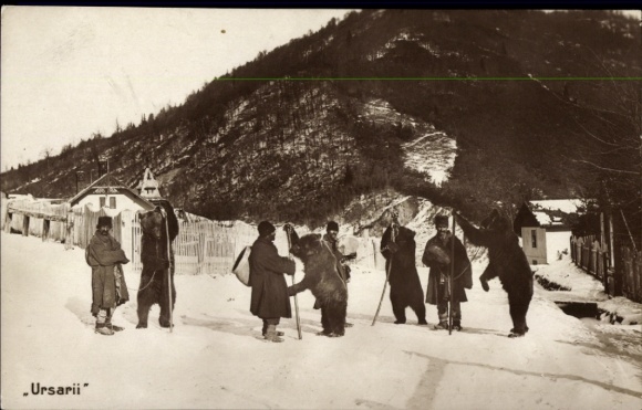 Postcard Romania, Ursarii, Dancing Bears