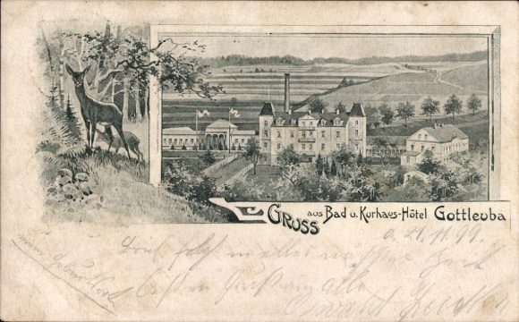 litho Bad Gottleuba in Saksen, Bad en Kurhaus-Hotel, Reh