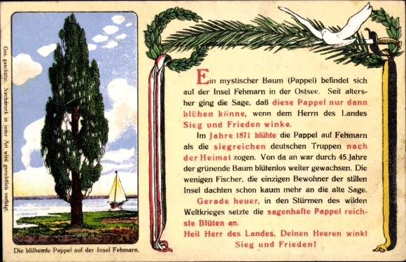 Artist Postcard Insel Fehmarn Ostholstein, The flowering poplar, pigeon, sage